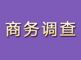 鹿城商务调查